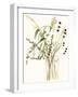 Composition in Vase I-Jennifer Goldberger-Framed Art Print