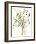 Composition in Vase I-Jennifer Goldberger-Framed Premium Giclee Print