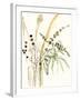 Composition in Vase II-Jennifer Goldberger-Framed Art Print