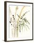 Composition in Vase II-Jennifer Goldberger-Framed Art Print