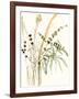 Composition in Vase II-Jennifer Goldberger-Framed Art Print