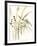 Composition in Vase II-Jennifer Goldberger-Framed Art Print