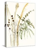 Composition in Vase II-Jennifer Goldberger-Stretched Canvas