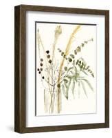 Composition in Vase II-Jennifer Goldberger-Framed Art Print