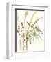 Composition in Vase II-Jennifer Goldberger-Framed Art Print