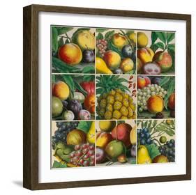 Composition of Fruits-Robert Furber-Framed Giclee Print