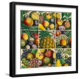 Composition of Fruits-Robert Furber-Framed Giclee Print