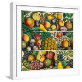 Composition of Fruits-Robert Furber-Framed Giclee Print
