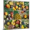 Composition of Fruits-Robert Furber-Mounted Giclee Print