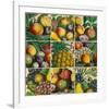 Composition of Fruits-Robert Furber-Framed Giclee Print