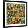 Composition of Fruits-Robert Furber-Framed Giclee Print