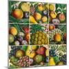 Composition of Fruits-Robert Furber-Mounted Giclee Print