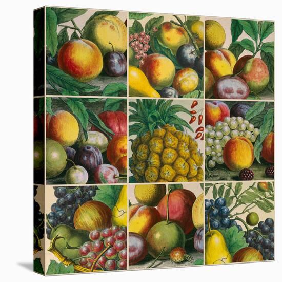 Composition of Fruits-Robert Furber-Stretched Canvas