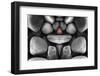 Composition of Pebbles-Philippe Sainte-Laudy-Framed Photographic Print