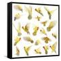 Composition of Rosy-Faced Lovebird Flying, Agapornis Roseicollis, also known as the Peach-Faced Lov-Life on White-Framed Stretched Canvas