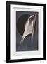 Composition-Alexander Rodtschenko-Framed Collectable Print