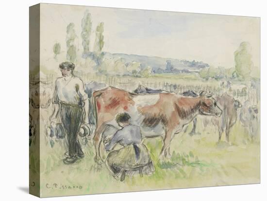 Compositional Study of a Milking Scene at Eragny-Sur-Epte, 1884 (Watercolour over Black Chalk)-Camille Pissarro-Stretched Canvas