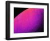 Compound Eye of a Bee-Micro Discovery-Framed Photographic Print