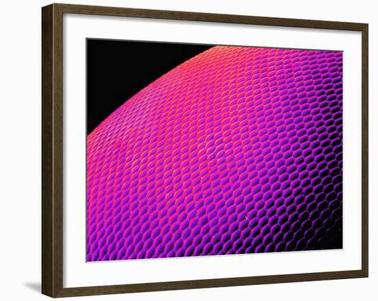 Compound Eye of a Bee-Micro Discovery-Framed Photographic Print