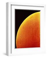 Compound Eye of a Flower Fly-Micro Discovery-Framed Photographic Print