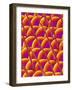 Compound Eye of a Flower Fly-Micro Discovery-Framed Photographic Print