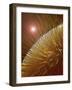 Compound Eye of Honeybee-Micro Discovery-Framed Photographic Print