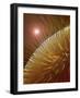 Compound Eye of Honeybee-Micro Discovery-Framed Photographic Print