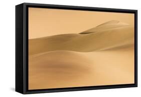 Compressed Perspective of the Big Namib Duneseastern-null-Framed Stretched Canvas