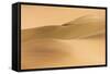 Compressed Perspective of the Big Namib Duneseastern-null-Framed Stretched Canvas