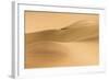 Compressed Perspective of the Big Namib Duneseastern-null-Framed Photographic Print