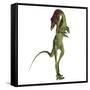 Compsognathus Dinosaur on White Background-Stocktrek Images-Framed Stretched Canvas