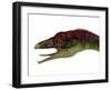 Compsognathus Dinosaur Portrait-Stocktrek Images-Framed Art Print