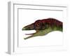 Compsognathus Dinosaur Portrait-Stocktrek Images-Framed Art Print