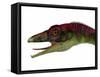 Compsognathus Dinosaur Portrait-Stocktrek Images-Framed Stretched Canvas