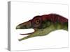 Compsognathus Dinosaur Portrait-Stocktrek Images-Stretched Canvas