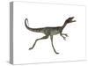 Compsognathus Dinosaur Running-Stocktrek Images-Stretched Canvas