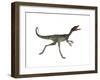 Compsognathus Dinosaur Running-Stocktrek Images-Framed Art Print