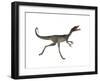 Compsognathus Dinosaur Running-Stocktrek Images-Framed Art Print