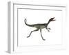 Compsognathus Dinosaur Running-Stocktrek Images-Framed Art Print