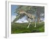 Compsognathus Dinosaur under Fir Tree-null-Framed Art Print