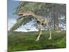 Compsognathus Dinosaur under Fir Tree-null-Mounted Art Print