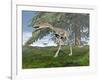 Compsognathus Dinosaur under Fir Tree-null-Framed Art Print