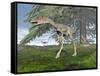 Compsognathus Dinosaur under Fir Tree-null-Framed Stretched Canvas