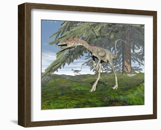 Compsognathus Dinosaur under Fir Tree-null-Framed Art Print