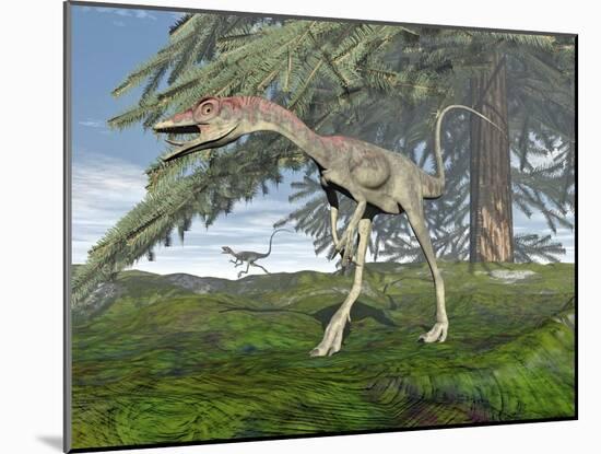 Compsognathus Dinosaur under Fir Tree-null-Mounted Art Print