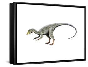 Compsognathus Dinosaur-null-Framed Stretched Canvas