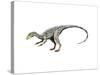 Compsognathus Dinosaur-null-Stretched Canvas