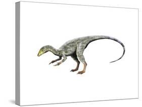 Compsognathus Dinosaur-null-Stretched Canvas