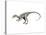 Compsognathus Dinosaur-null-Stretched Canvas