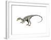 Compsognathus Dinosaur-null-Framed Art Print